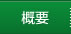 概要